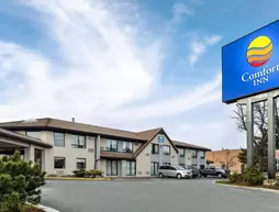 Comfort Inn Brampton | Ontario - Toronto (ve civarı) - Brampton - Queen Street Koridoru