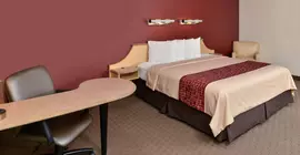 Red Roof Inn Seattle | Washington - Seattle (ve dolayları) - SeaTac