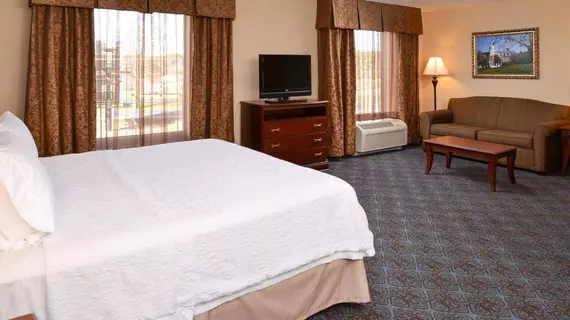 Hampton Inn & Suites Fruitland | Maryland - Salisbury (ve civarı) - Fruitland