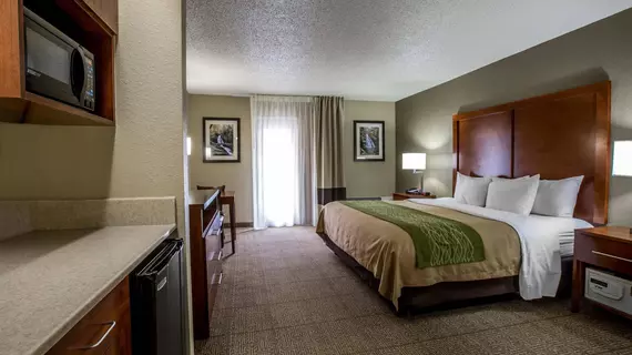 Comfort Inn & Suites at Dollywood Lane | Tennessee - Gatlinburg - Pigeon Forge (ve civarı) - Pigeon Forge