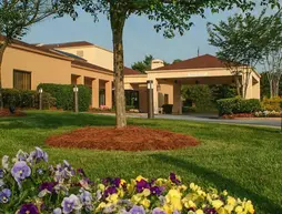 Courtyard Greenville Haywood Mall | Güney Karolayna - Greenville - Spartanburg (ve civarı) - Greenville