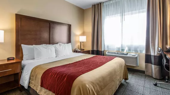 COMFORT INN WHEAT RIDGE | Kolorado - Denver (ve civarı) - Wheat Ridge