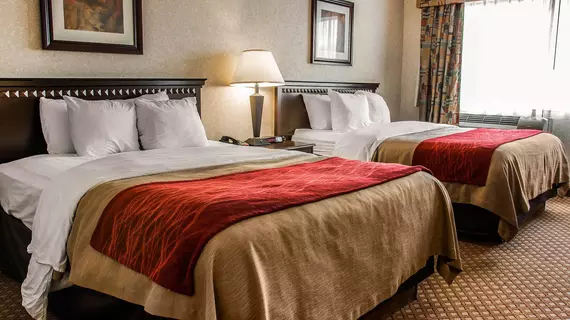 Comfort Inn Waterford | Michigan - Detroit (ve civarı) - Waterford