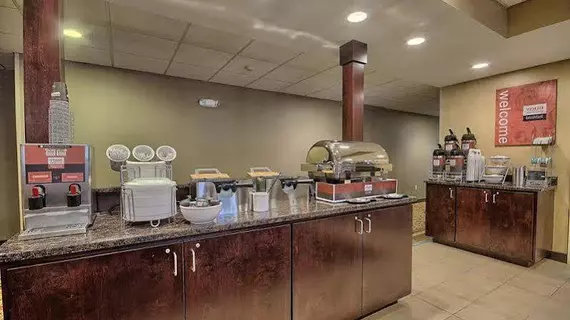 Comfort Inn & Suites Wadsworth | Ohio - Summit İlçesi - Akron (ve civarı) - Wadsworth