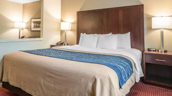 Comfort Inn Lacey | Washington - Olympia (ve civarı) - Lacey