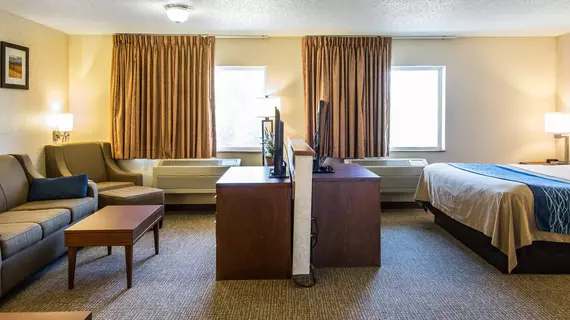 Comfort Inn Lewiston | Idaho - Lewiston (ve civarı) - Lewiston