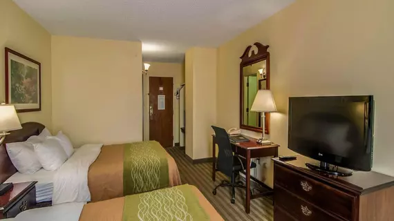 Comfort Inn Staunton | Virginia - Staunton (ve civarı) - Staunton