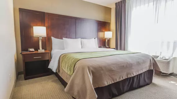 Comfort Inn Hotel Kent | Washington - Seattle (ve dolayları) - Kent