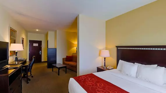 Comfort Suites University Abilene | Teksas - Abilene (ve civarı) - Abilene