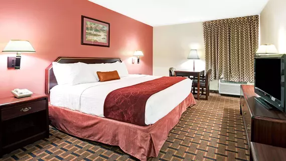 Days Inn Dallas Plano | Teksas - Dallas (ve civarı) - Plano