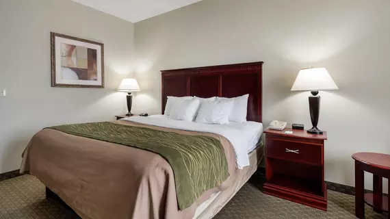 Comfort Inn Broussard | Louisiana - Lafayette (ve civarı) - Broussard