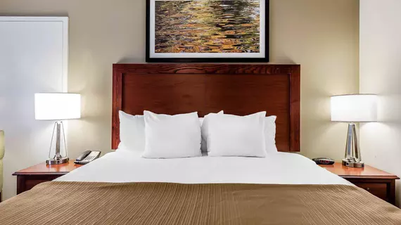 Quality Inn Gallatin | Tennessee - Nashville-Davidson - Nashville (ve civarı) - Gallatin