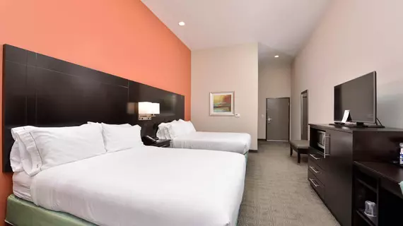 HOLIDAY INN EXPRESS & SUITES AUSTIN SOUTH | Teksas - Austin (ve civarı) - Austin