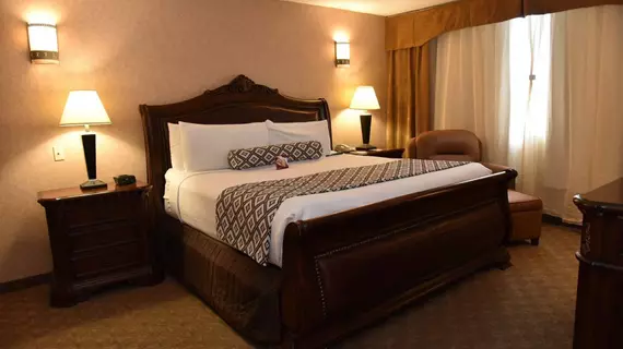 Crowne Plaza Hotel Houston Near Reliant/Medical Center | Teksas - Houston (ve civarı) - Houston