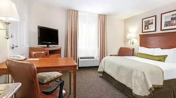 Candlewood Suites Houston NW - Willowbrook | Teksas - Houston (ve civarı) - Houston - FM 1960 Otoyolu