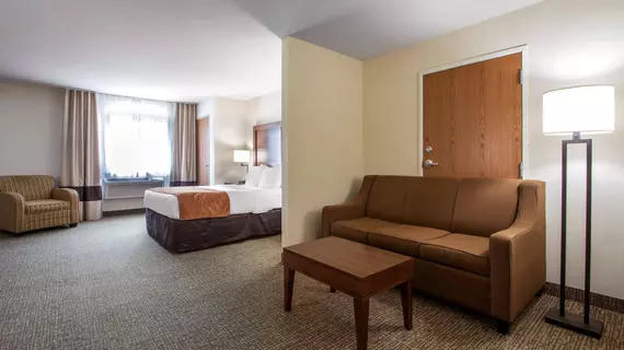 Comfort Suites Johnson Creek | Wisconsin - Fort Atkinson (ve civarı) - Johnson Creek