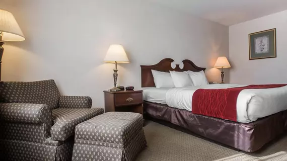 Comfort Inn & Suites East Greenbush | New York - Albany (ve civarı) - Castleton-on-Hudson