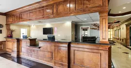 Econo Lodge Conroe | Teksas - Conroe (ve civarı) - Conroe