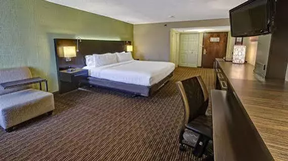 Holiday Inn Memphis Airport - Conference Center | Tennessee - Memphis (ve civarı) - Memphis