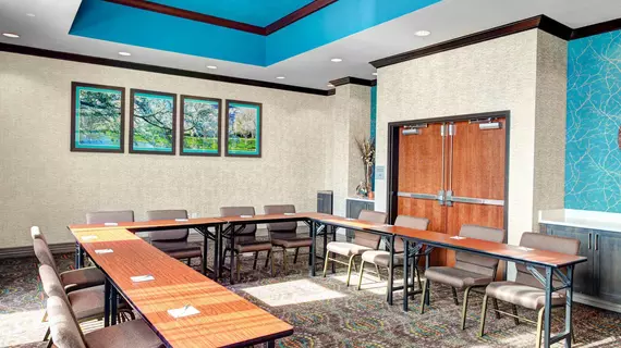 Hampton Inn and Suites by Hilton Atlanta Perimeter Dunwoody | Georgia - Atlanta (ve civarı) - Dunwoody