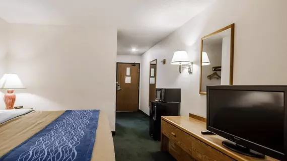 Comfort Inn Ozark | Missouri - Springfield (ve civarı) - Ozark