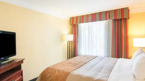 Comfort Inn & Suites West | Teksas - Houston (ve civarı) - Katy