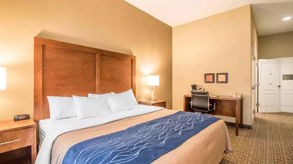 Comfort Inn and Suites Dover | New Hampshire - Portsmouth (ve civarı) - Dover