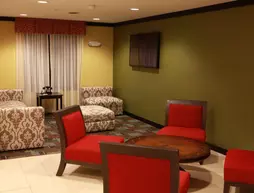 Holiday Inn Express and Suites Detroit North-Troy | Michigan - Detroit (ve civarı) - Troy