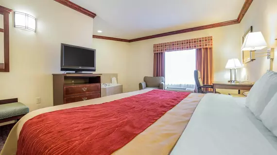 Comfort Inn & Suites Rock Springs | Wyoming - Rock Springs (ve civarı) - Rock Springs