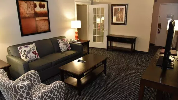 Crowne Plaza Hotel Houston Near Reliant/Medical Center | Teksas - Houston (ve civarı) - Houston