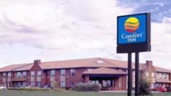 COMFORT INN LEVIS | Quebec - Quebec (ve civarı) - Levis