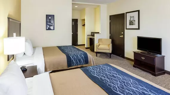 Comfort Inn & Suites Texas Hill Country | Teksas - San Antonio (ve civarı) - Boerne