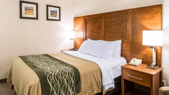 Comfort Inn Lewiston | Idaho - Lewiston (ve civarı) - Lewiston