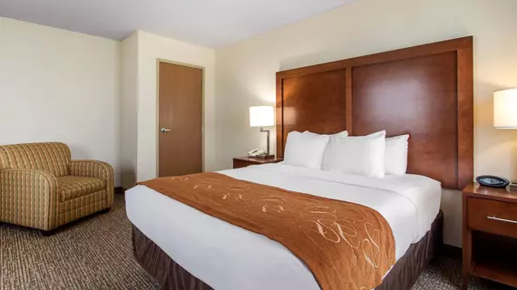 Comfort Suites Johnson Creek | Wisconsin - Fort Atkinson (ve civarı) - Johnson Creek