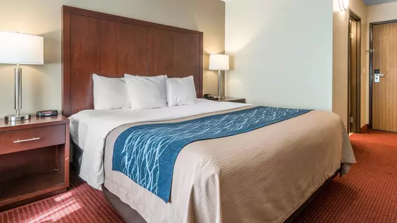 Comfort Inn Lacey | Washington - Olympia (ve civarı) - Lacey