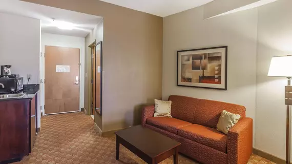 Comfort Suites Near Joint Forces | Virginia - Norfolk - Virginia Beach (ve civarı) - Suffolk