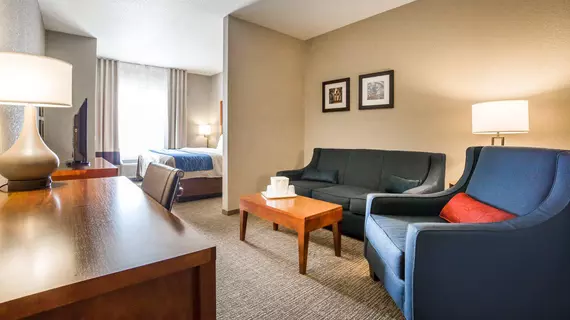 COMFORT INN & SUITES CHEYENNE | Wyoming - Cheyenne (ve civarı) - Cheyenne