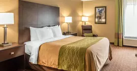 Comfort Inn and Suites Kansas City Northeast | Missouri - Kansas City (ve civarı) - Kansas