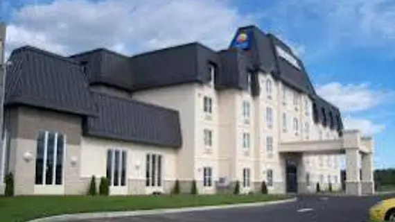 Comfort Inn and Suites Levis | Quebec - Quebec (ve civarı) - Levis - Saint-Nicolas