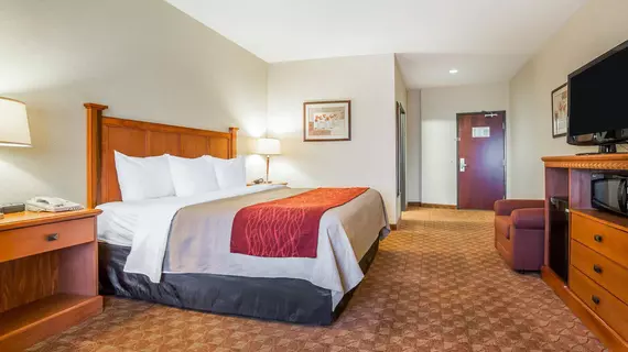 COMFORT INN & SUITES | Nevada - Clark County - Las Vegas (ve civarı) - Las Vegas