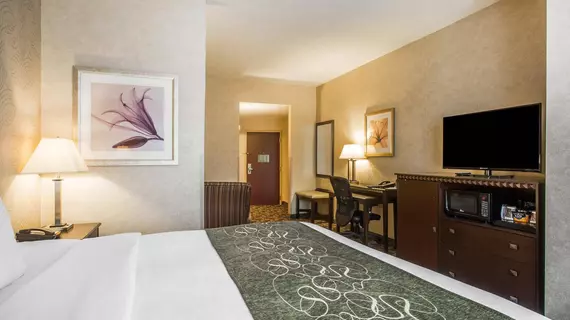 Comfort Suites | Tennessee - Nashville-Davidson - Nashville (ve civarı) - Nashville