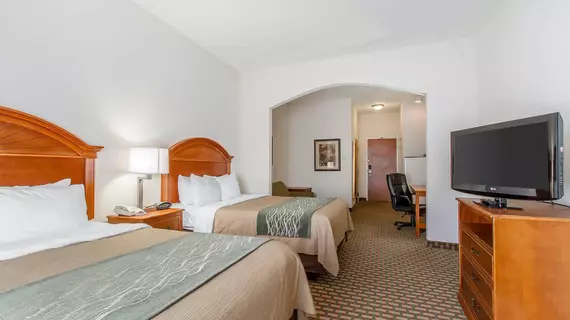 Comfort Inn and Suites Norman | Oklahoma - Oklahoma City (ve civarı) - Norman