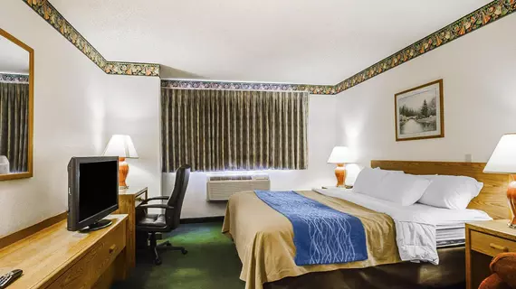 Comfort Inn Ozark | Missouri - Springfield (ve civarı) - Ozark