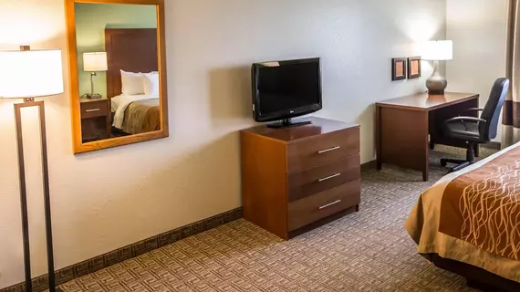 Comfort Inn Hobart | Indiana - Hobart