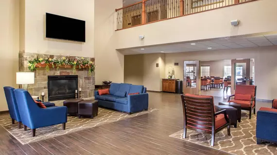 Comfort Suites Johnson Creek | Wisconsin - Fort Atkinson (ve civarı) - Johnson Creek