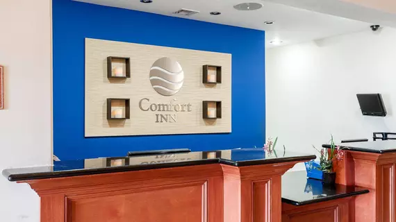 Comfort Inn Broussard | Louisiana - Lafayette (ve civarı) - Broussard