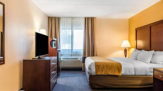 Comfort Inn Zanesville | Ohio - Zanesville (ve civarı) - Zanesville