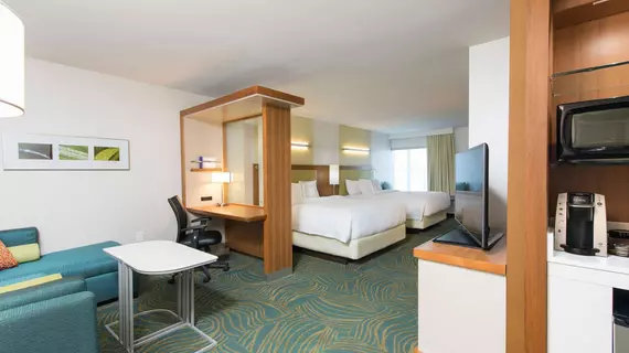 Springhill Suites Houston Sugar Land | Teksas - Houston (ve civarı) - Sugar Land