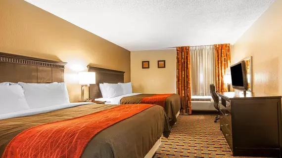 Comfort Inn & Suites Cleveland | Tennessee - Chattanooga (ve civarı) - Cleveland