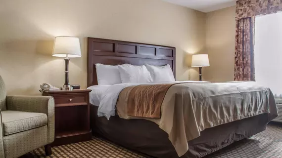 Comfort Inn & Suites Farmington | New York - Rochester (ve civarı) - Farmington